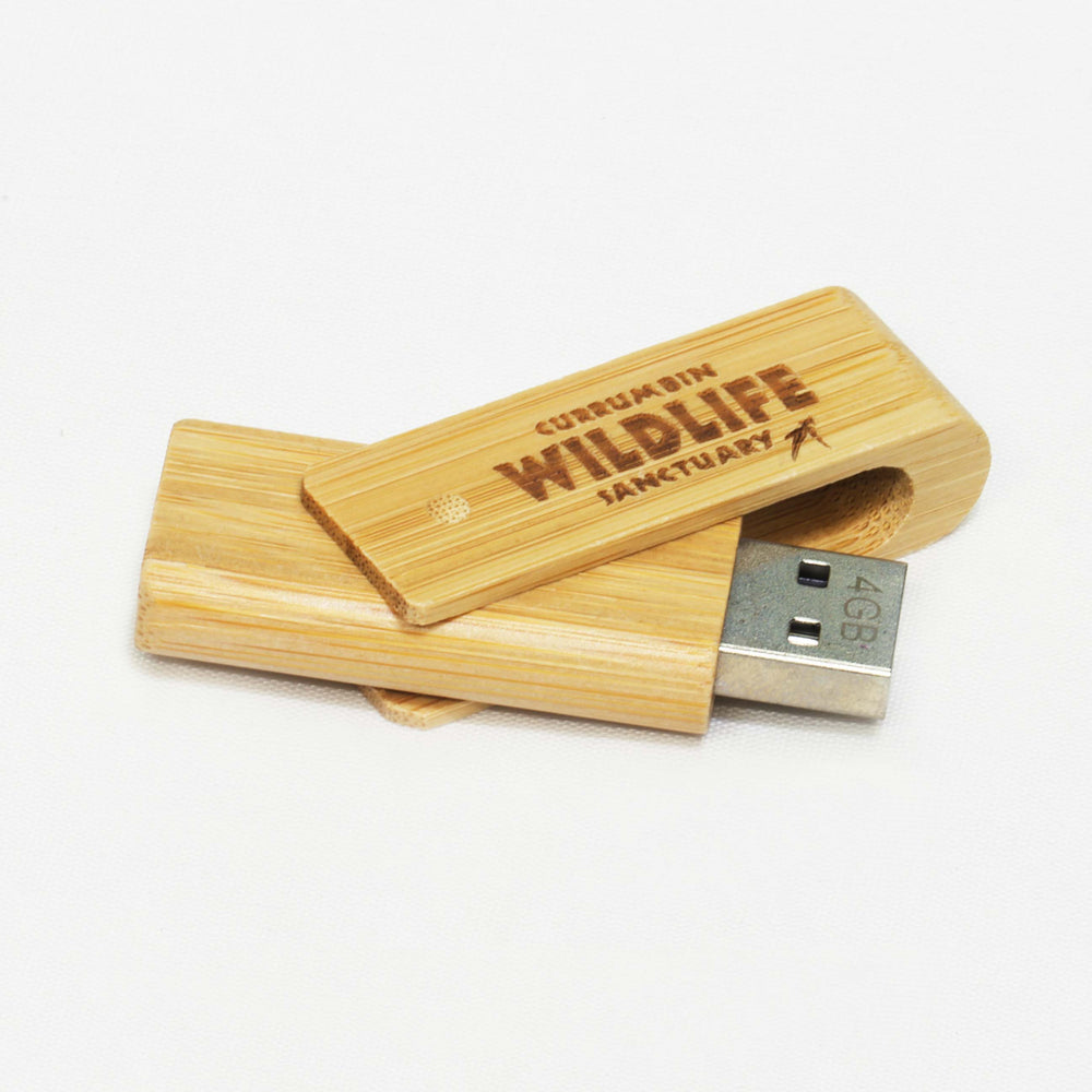 Eco-Bamboo-USB-Flash-Drive