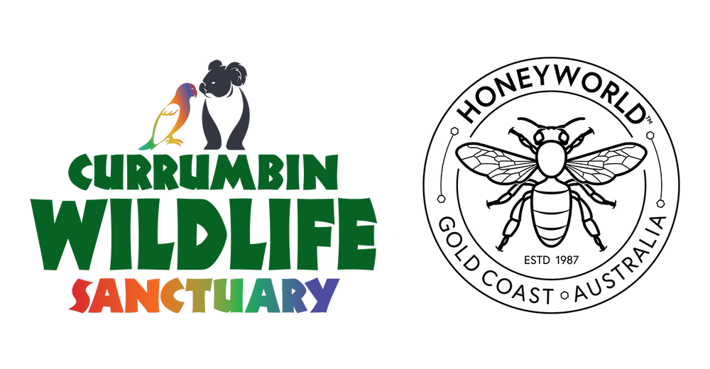 Logos of Currumbin Wildlife Sanctuary and Honeyworld Gold Coast Australia on a white background