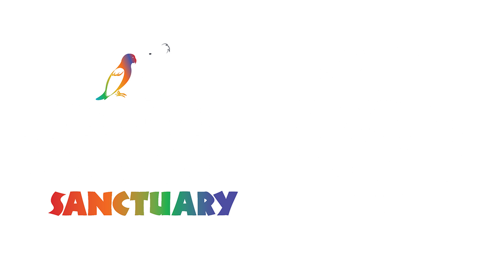 Colorful logo with a bird and a white koala, and the text Currumbin Wildlife Sanctuary with the Sanctuary letters in rainbow colours. Next to it is a round white logo with a bee in the middle and curve text around it saying Honeyworld Gold Coast Australia established 1987.