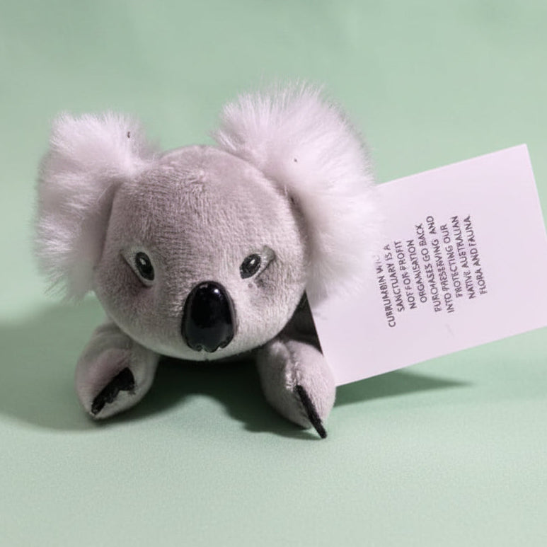 
                  
                    Koala Shoulder Pal
                  
                