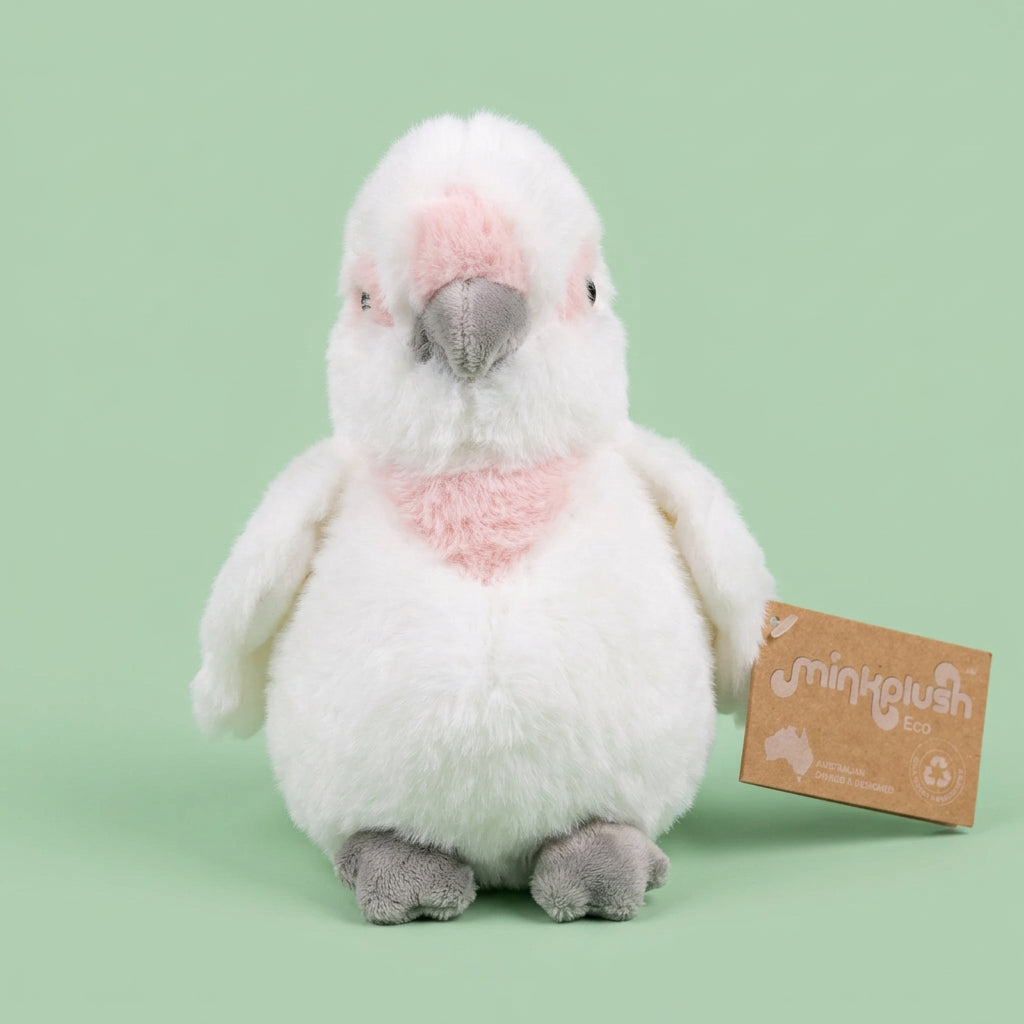 
                  
                    TF Corella Cate
                  
                