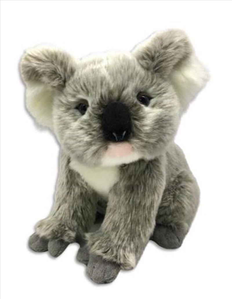 Koala-Kalina-Plush-30cm